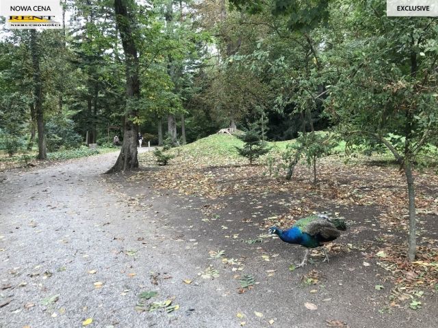 Mieszkanie 2-pokojowe Przelewice. Zdjęcie 6