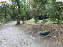 Mieszkanie 2-pokojowe Przelewice. Zdjęcie 4