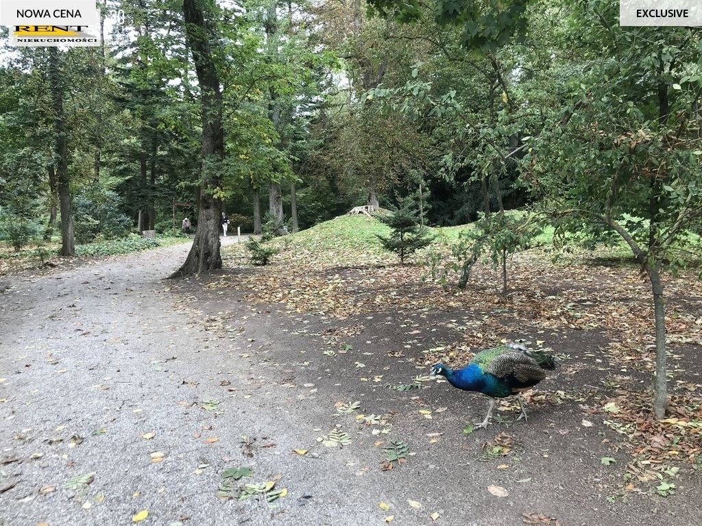 Mieszkanie 2-pokojowe Przelewice. Zdjęcie 6