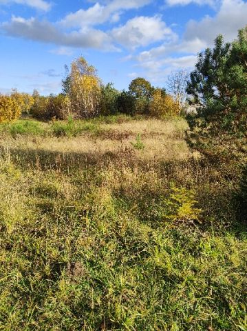 Działka siedliskowa Strzepcz Zielony Dwór, ul. Zielony Dworek. Zdjęcie 5