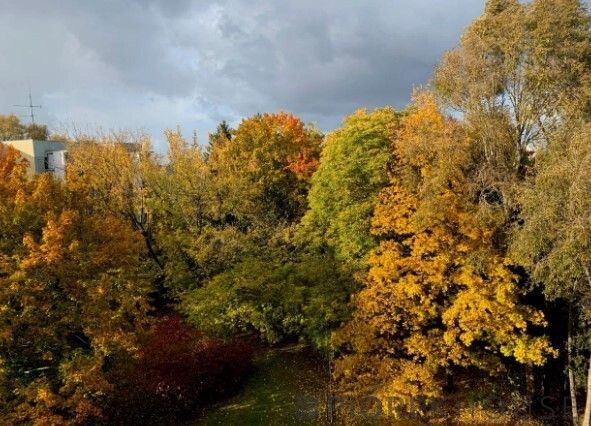 Mieszkanie 2-pokojowe Warszawa Ursynów, ul. Nutki. Zdjęcie 4