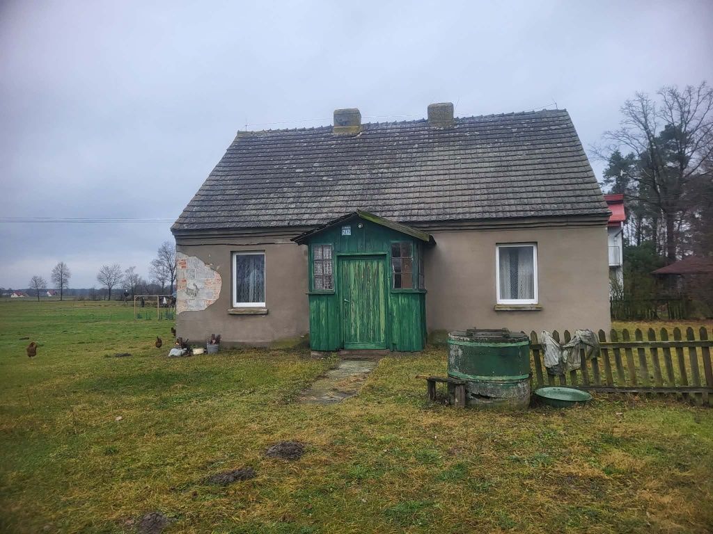 Działka rolna Kaliszkowice Kaliskie. Zdjęcie 3