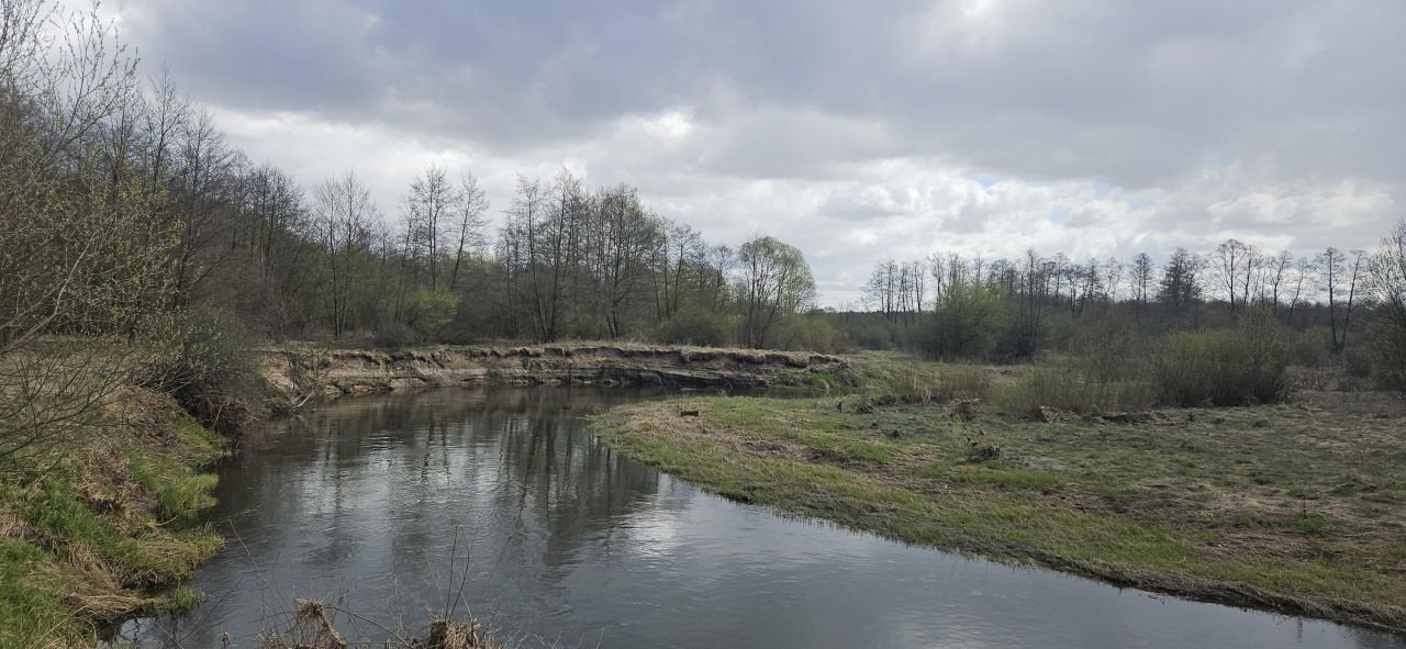 Działka inna Płaciszewo. Zdjęcie 4