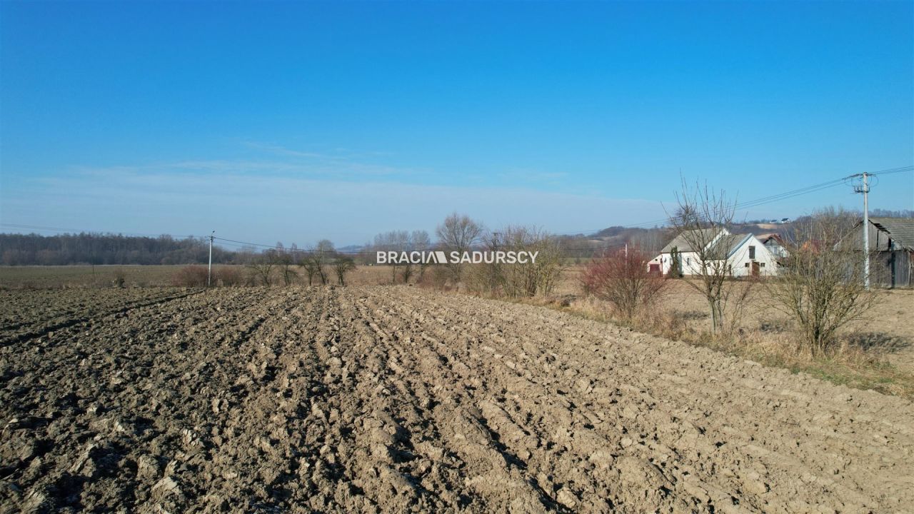 Działka siedliskowa Popędzyna. Zdjęcie 13
