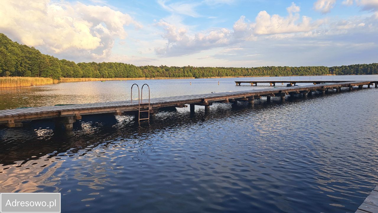 Działka rekreacyjna Rogóźno. Zdjęcie 3