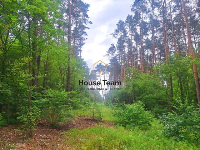 Działka budowlana Bydgoszcz Smukała Dolna, ul. Władysławy Kieliotis. Zdjęcie 2