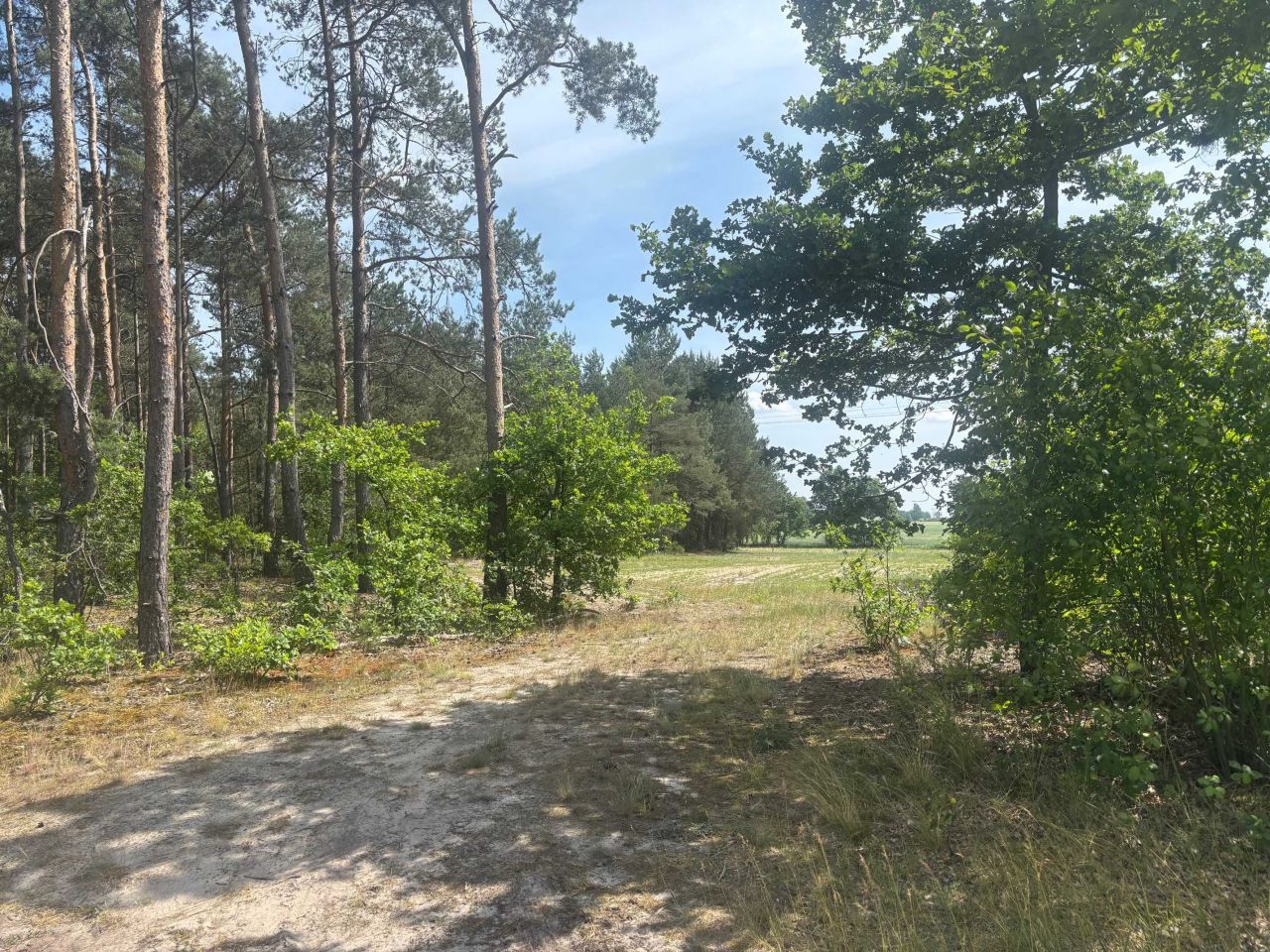 Działka rolno-budowlana Biernacice. Zdjęcie 6