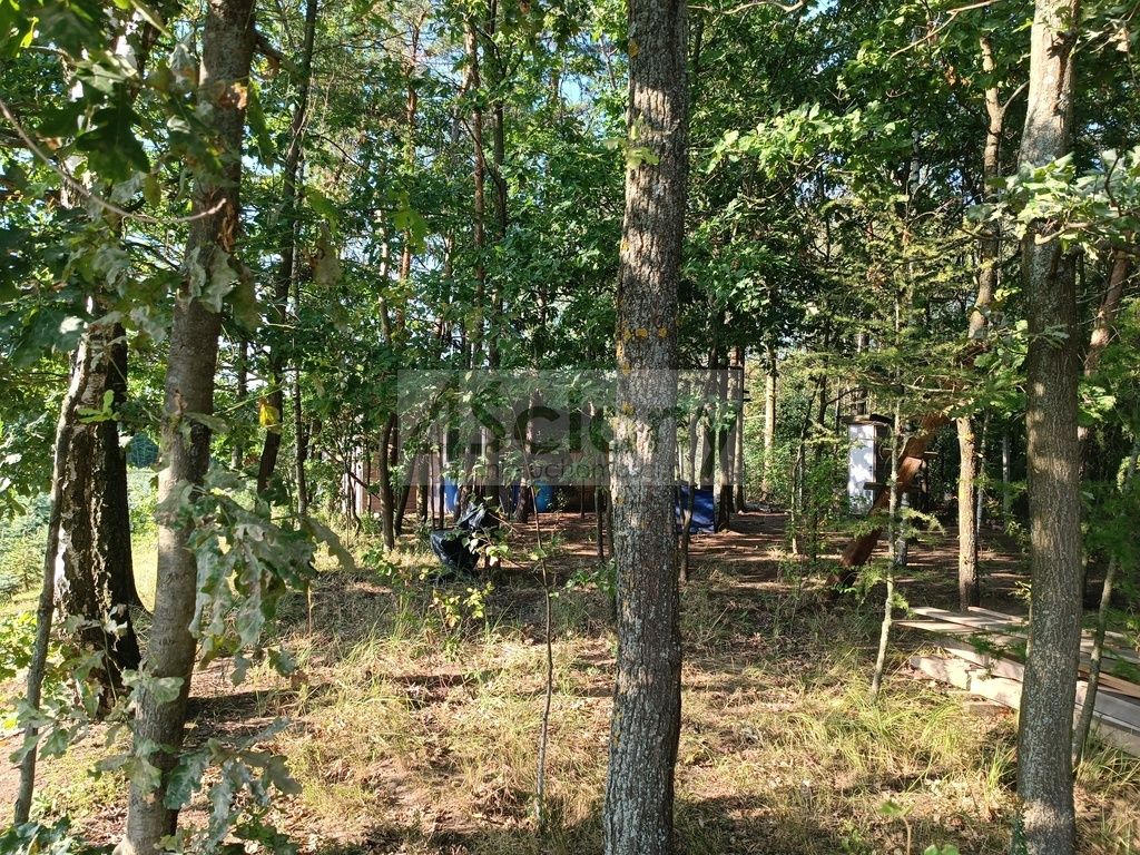 Działka siedliskowa Osuchów. Zdjęcie 14