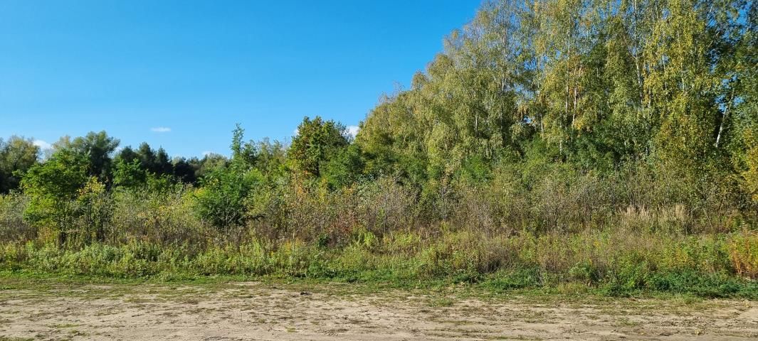 Działka budowlana Żółwin. Zdjęcie 7