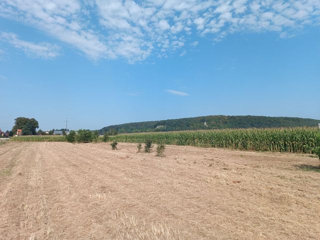 Działka budowlana Rusocice. Zdjęcie 1