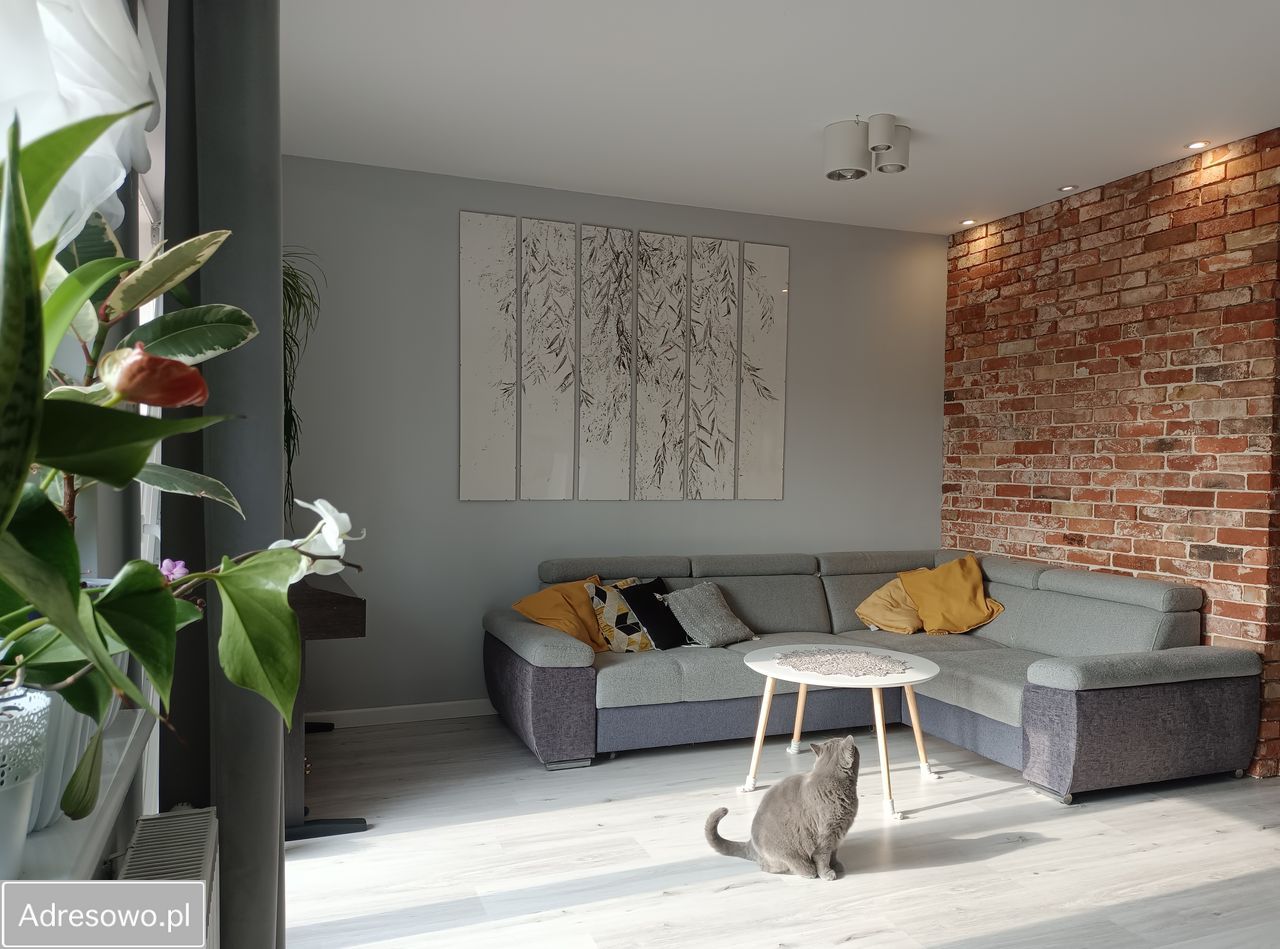 Mieszkanie 2-pokojowe Toruń Grębocin nad Strugą, ul. Działowa. Zdjęcie 3