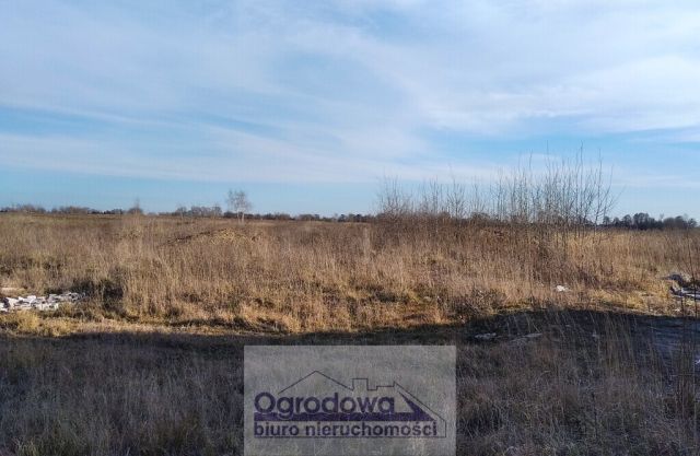 Działka budowlana Falenty. Zdjęcie 1