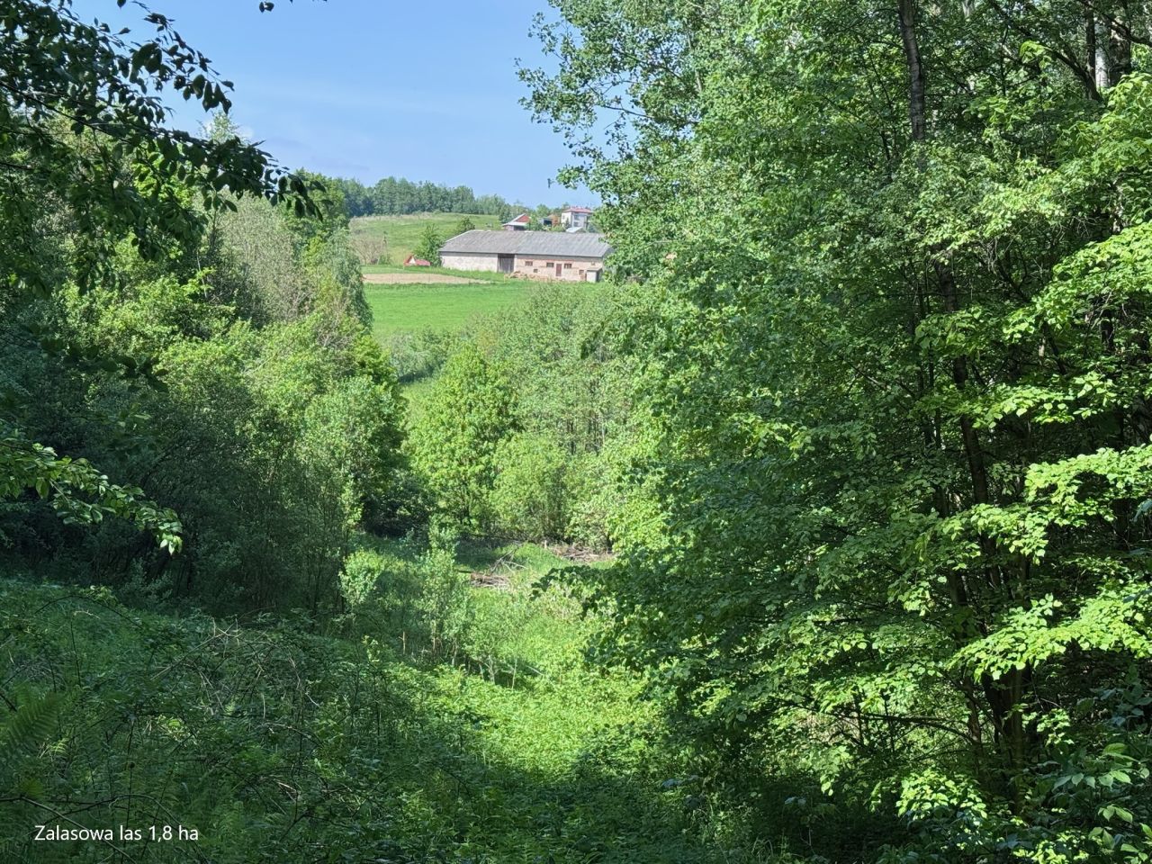 Działka inna Zalasowa, ul. Mieszka I. Zdjęcie 9