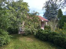Działka rod Pabianice Bugaj, ul. Szpitalna. Zdjęcie 1