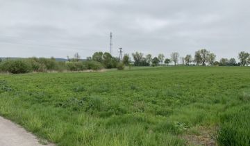 Działka rolno-budowlana Chełm
