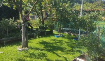 Działka rod Zielona Góra, ul. Botaniczna