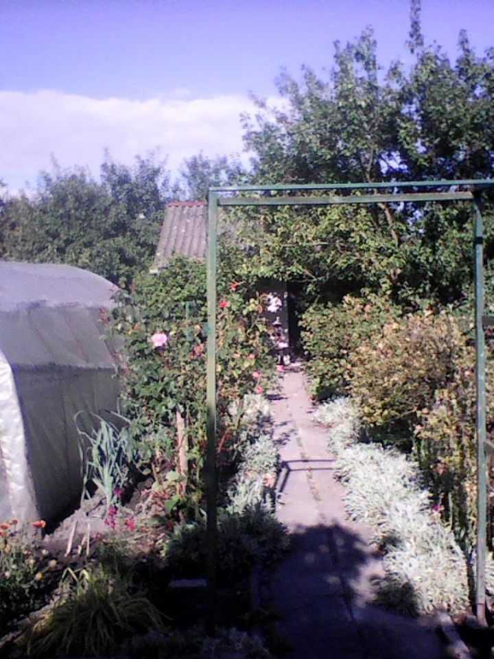 Działka rod Lublin Kalinowszczyzna, ul. Działkowa. Zdjęcie 3