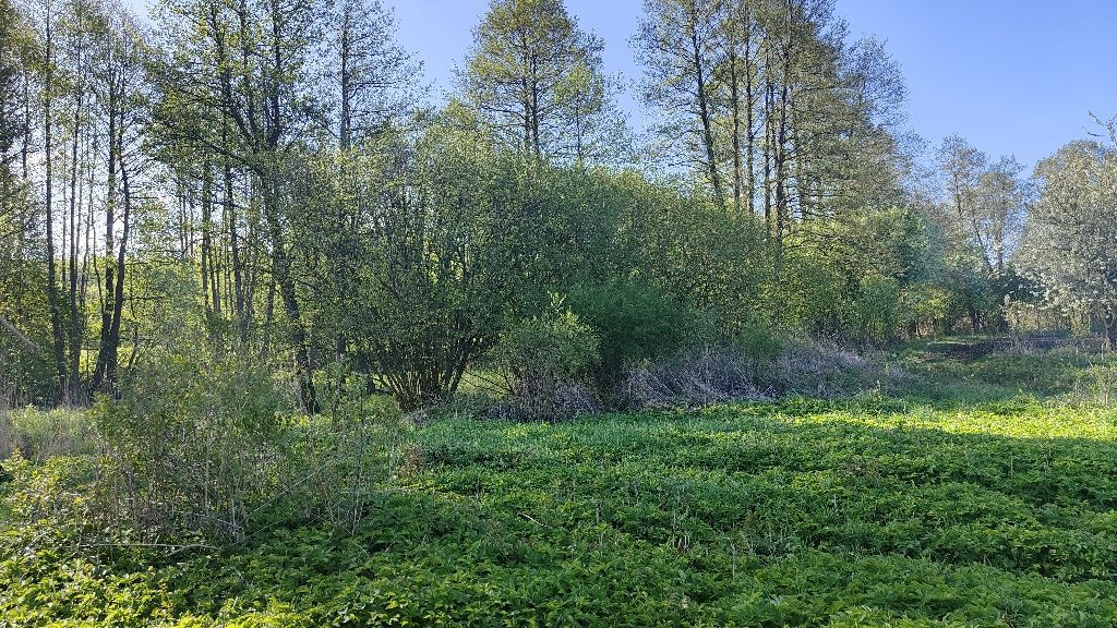 Działka rolno-budowlana Wielki Wełcz. Zdjęcie 6