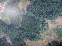 Działka rolno-budowlana Patryki. Zdjęcie 1