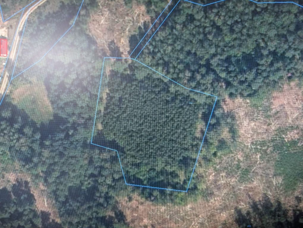 Działka rolno-budowlana Patryki. Zdjęcie 2