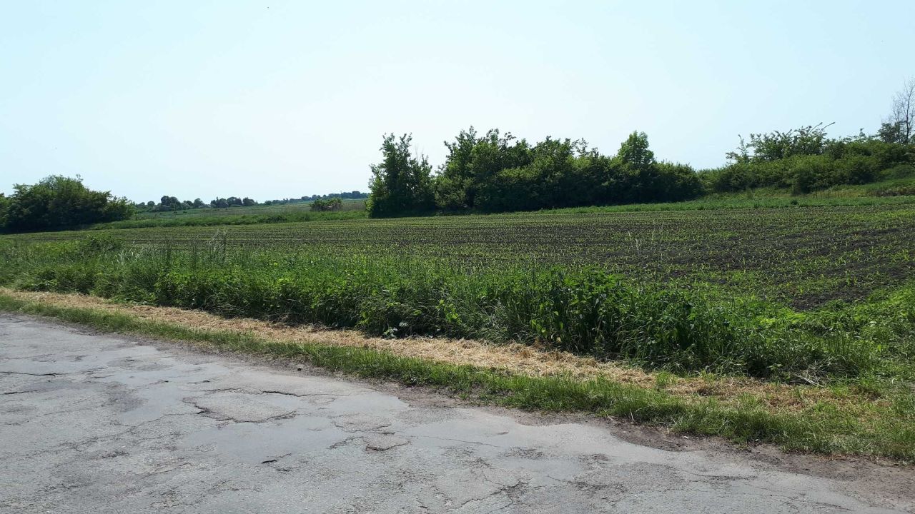 Działka budowlana Kurczów. Zdjęcie 2