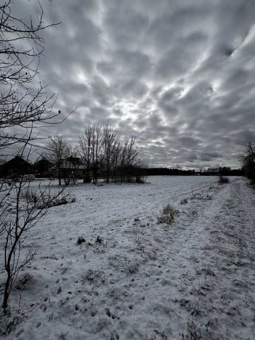 Działka rolno-budowlana Sieczka. Zdjęcie 6