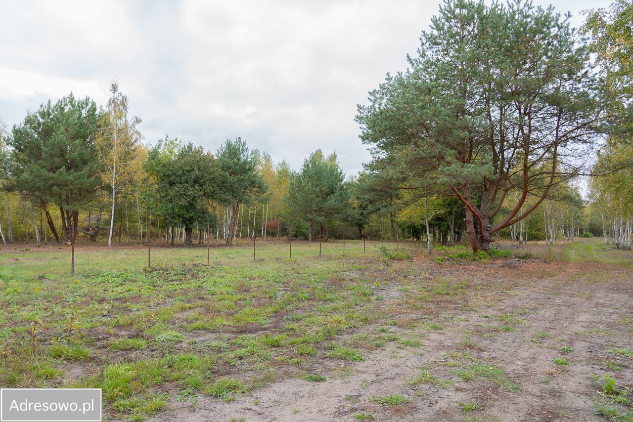 Działka budowlana Wojcieszyn, ul. Trakt Królewski. Zdjęcie 7