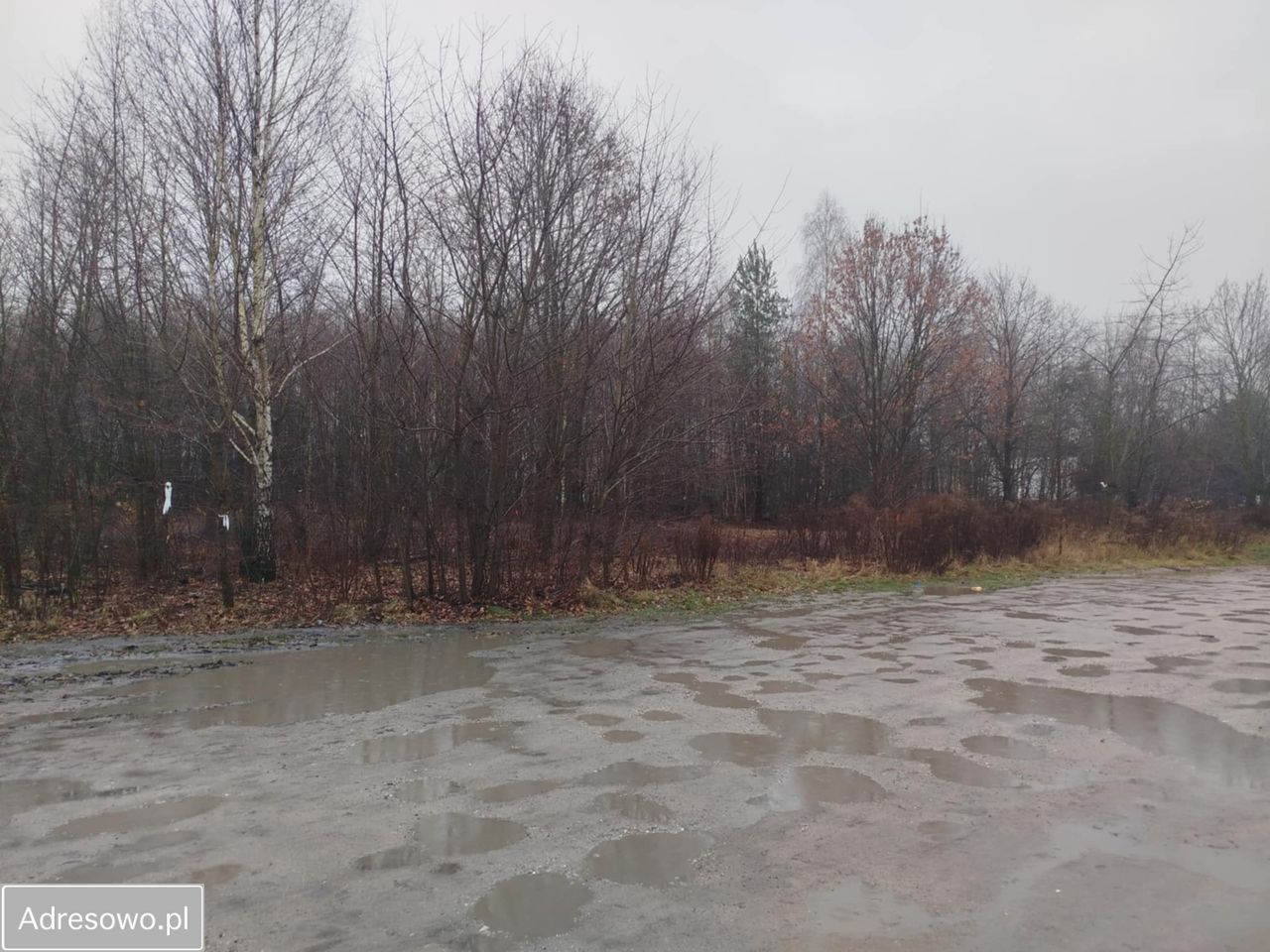 Działka budowlana Kobyłka, ul. ks. Władysława Rosłana. Zdjęcie 6