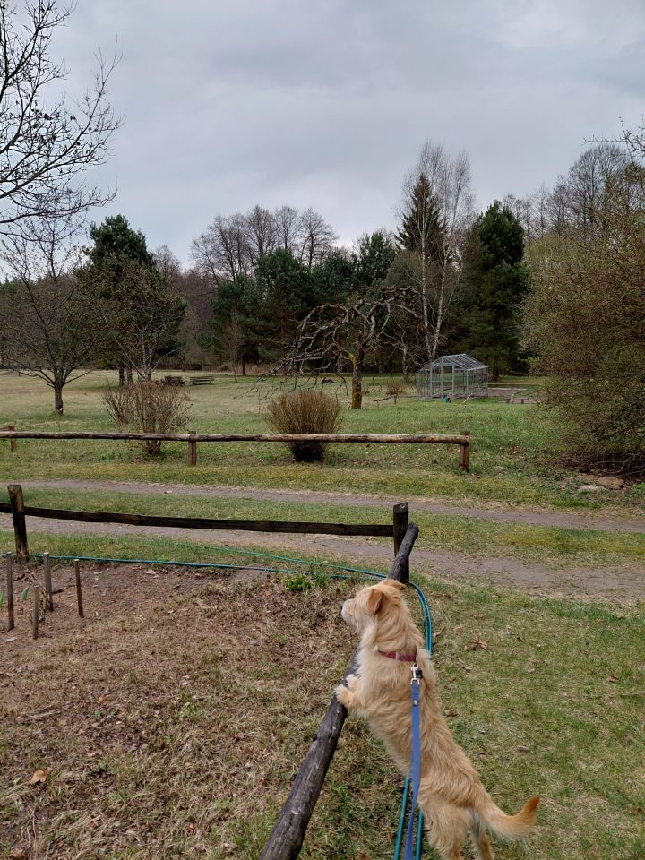 dom wolnostojący, 4 pokoje Domyśl. Zdjęcie 20