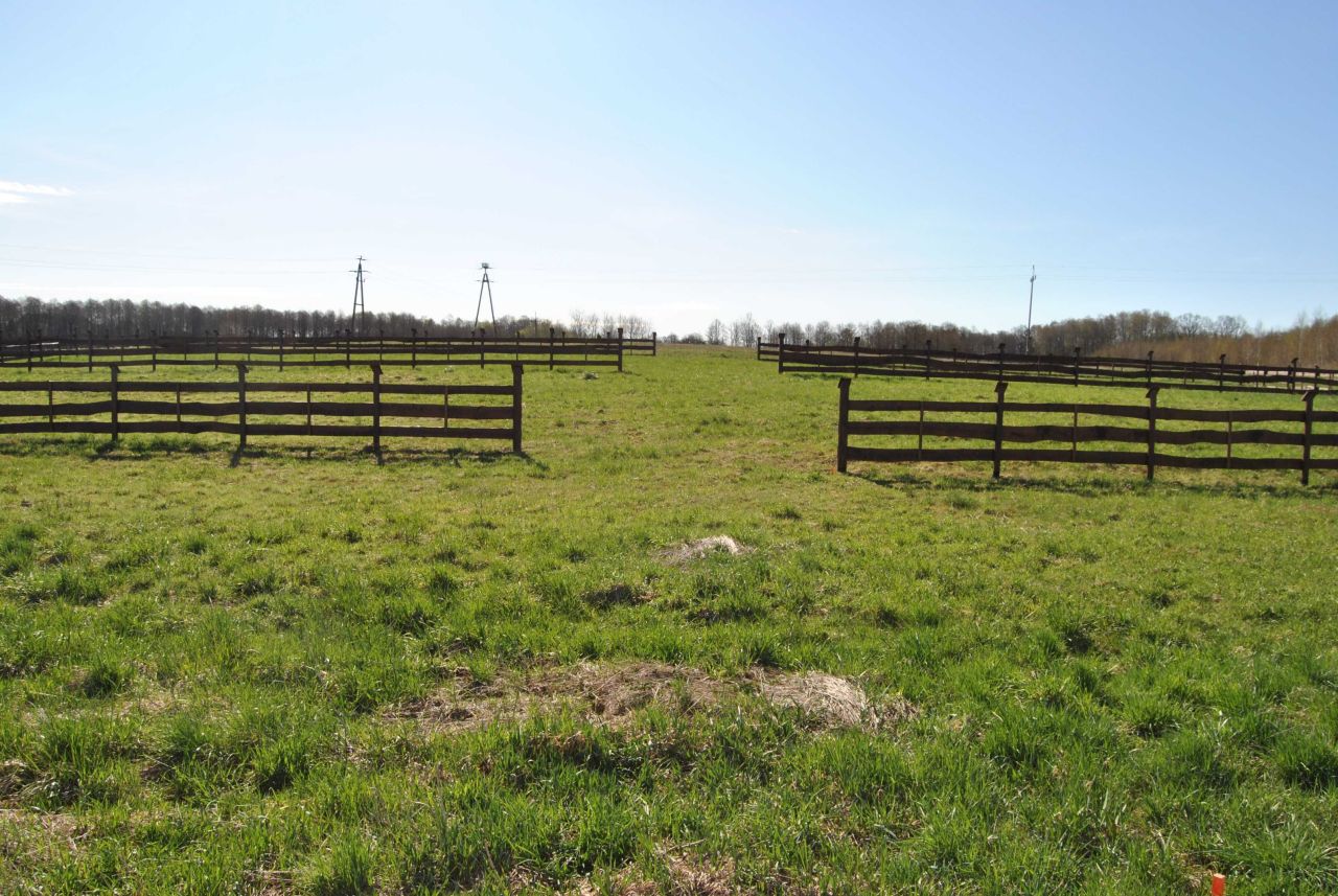 Działka rekreacyjna Bogacko. Zdjęcie 7