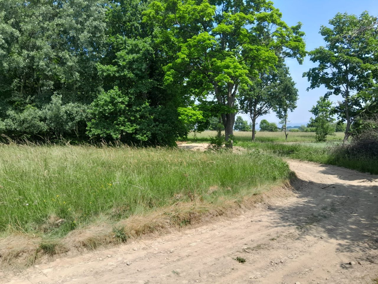 Działka budowlana Starkówek. Zdjęcie 9