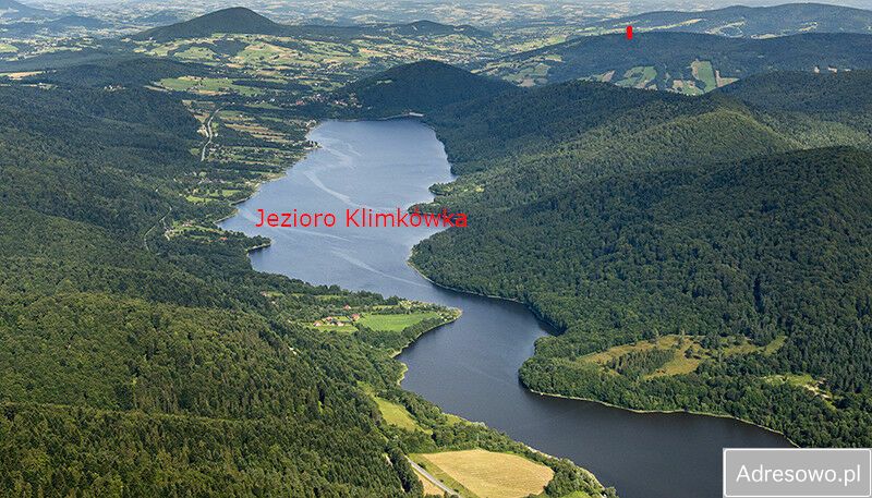 Działka leśna Łosie. Zdjęcie 8