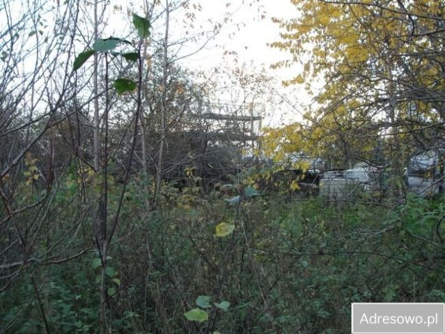 Działka budowlana Brusy, ul. Myśliwska. Zdjęcie 1