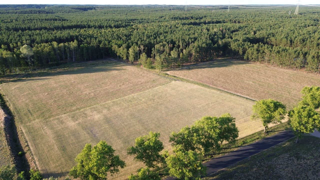 Działka budowlana Dąbrowa Wielka. Zdjęcie 7