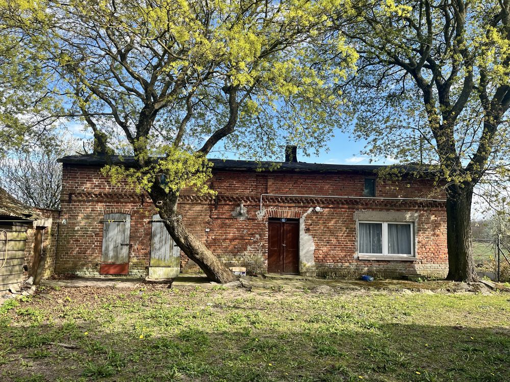 Działka rolna Łobdowo. Zdjęcie 1