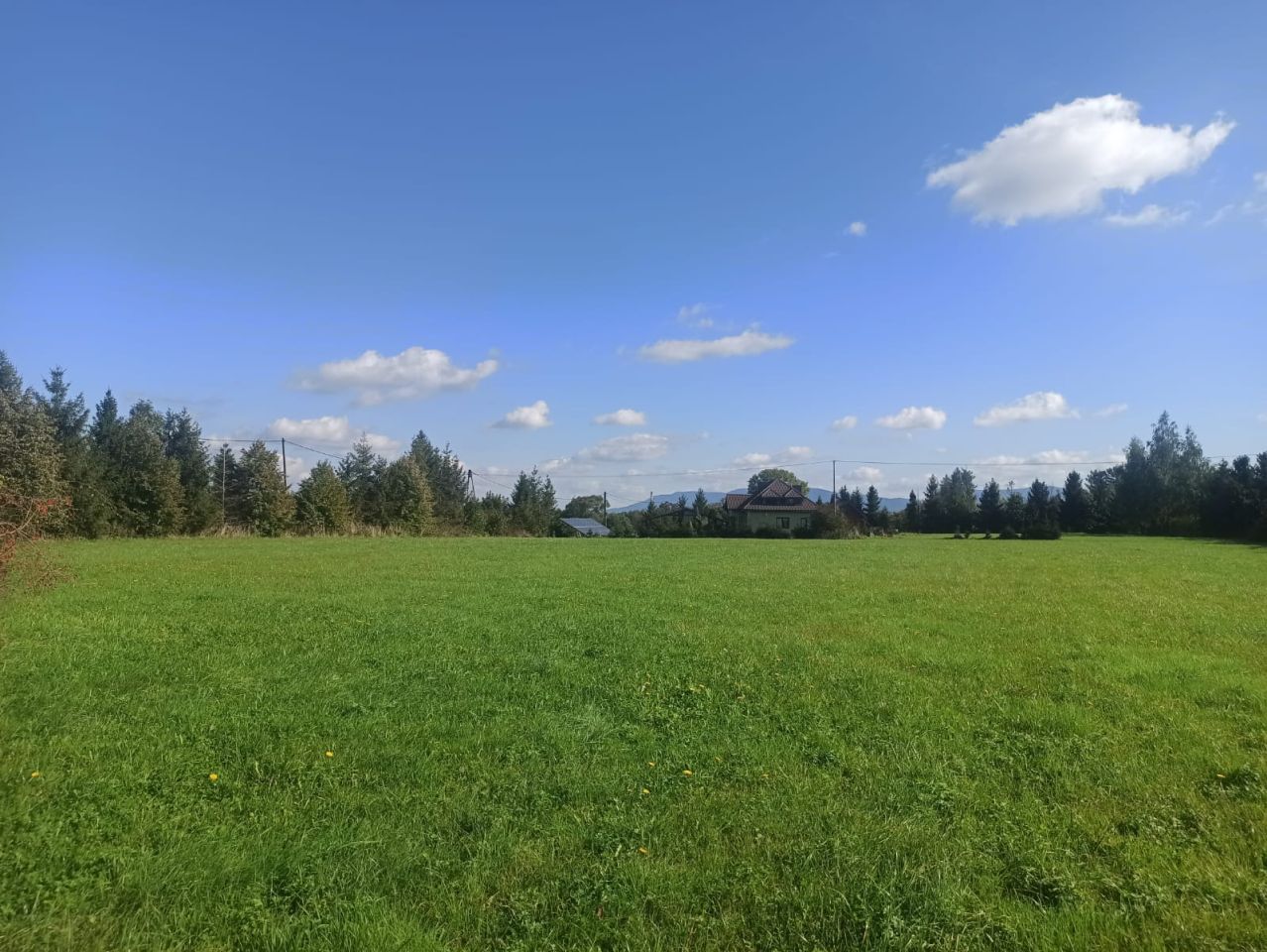 Działka rolno-budowlana Jasienica Wygrabowice. Zdjęcie 6