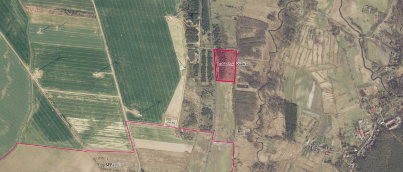 Działka rolna Lubiechnia Wielka. Zdjęcie 2