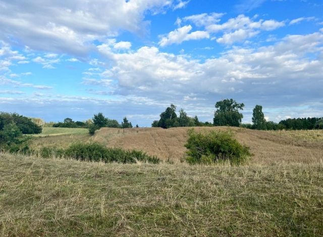 Działka rolna Sypanica. Zdjęcie 1