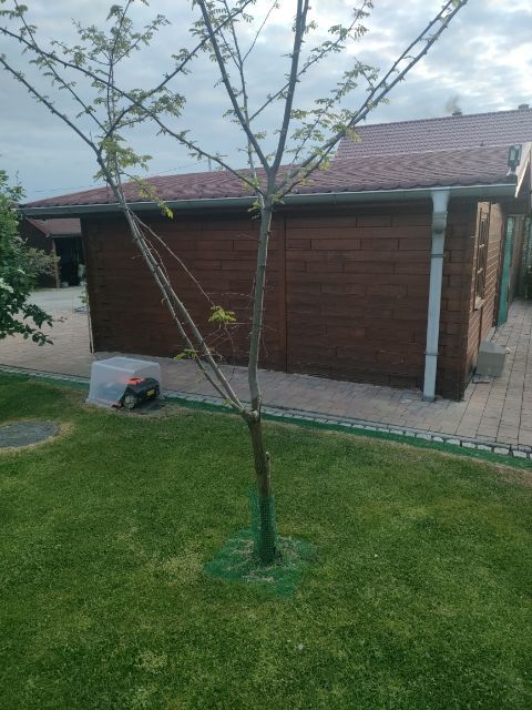 dom wolnostojący, 6 pokoi Andrychów. Zdjęcie 9