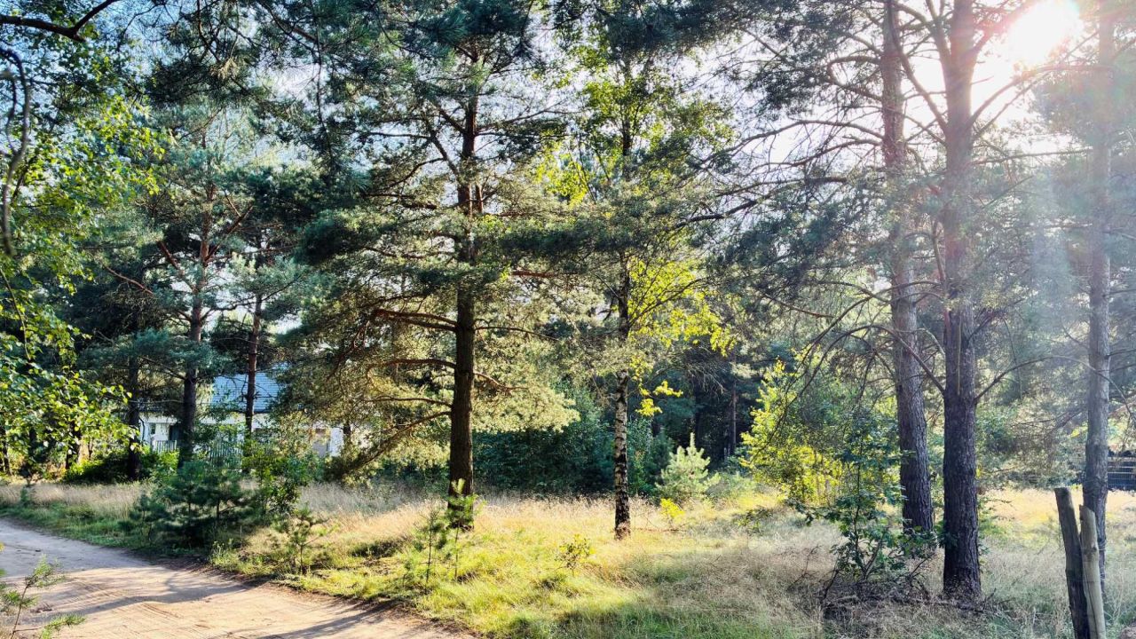 Działka budowlana Małszyce. Zdjęcie 7