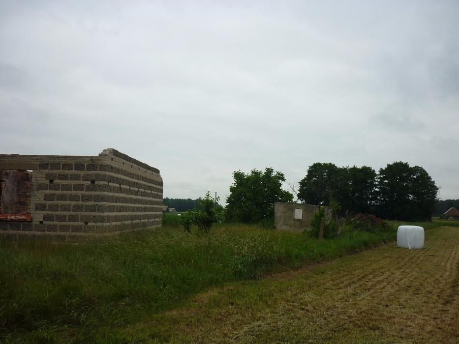 Działka budowlana Rojew. Zdjęcie 7