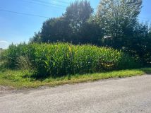 Działka rolno-budowlana Rudki. Zdjęcie 2