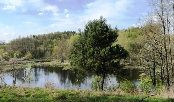 Działka rolno-budowlana Chrostkowo