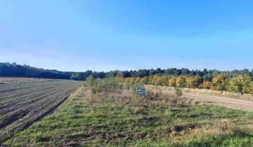 Działka rolno-budowlana Płyćwia