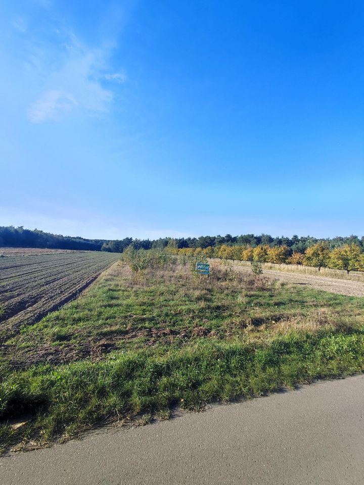 Działka rolno-budowlana Płyćwia