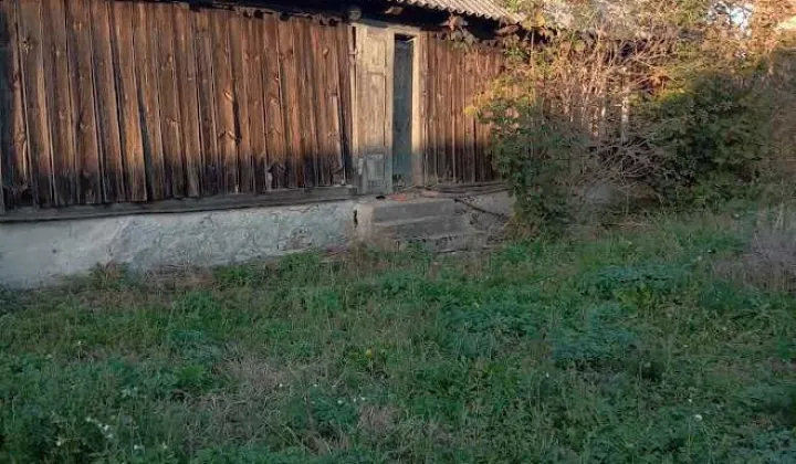 Działka siedliskowa Pątnów