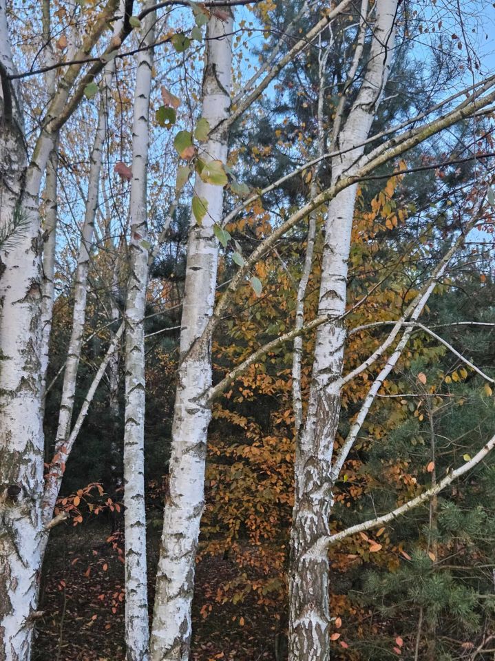 Działka budowlana Lubliniec Wymyślacz, ul. Fiołkowa. Zdjęcie 3