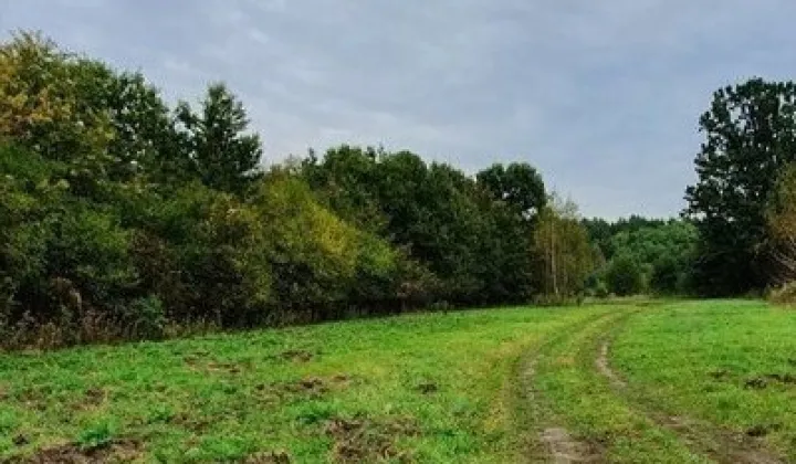 Działka budowlana Kąty Węgierskie