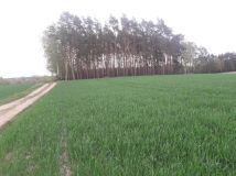 Działka rolna Potrzanowo. Zdjęcie 1