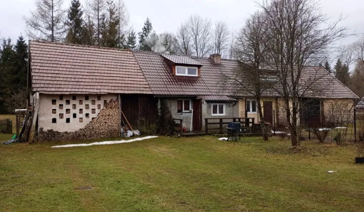 bliźniak Wola Michowa